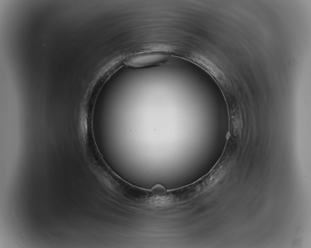 X0000100310350200806051501