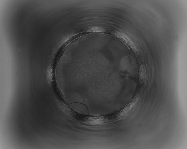 X0000100310351200806051501
