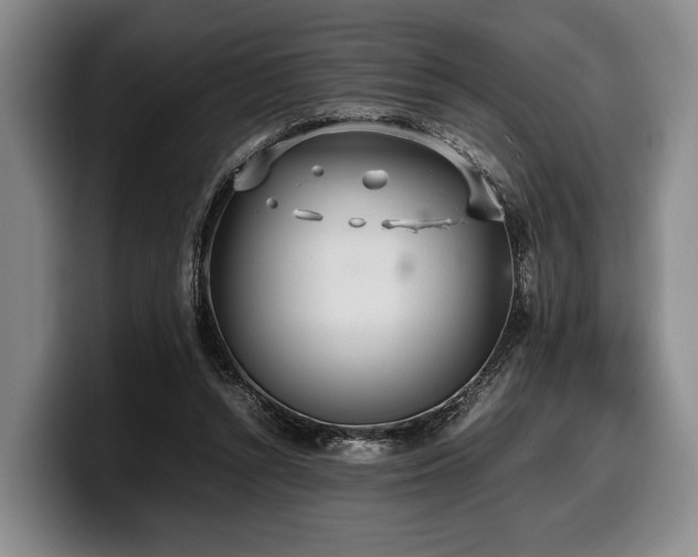 X0000100310352200806051501