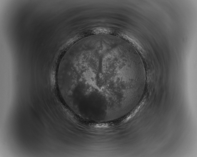 X0000100310353200806051501