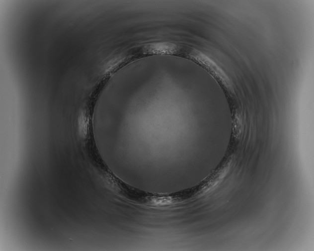 X0000100310355200806051501