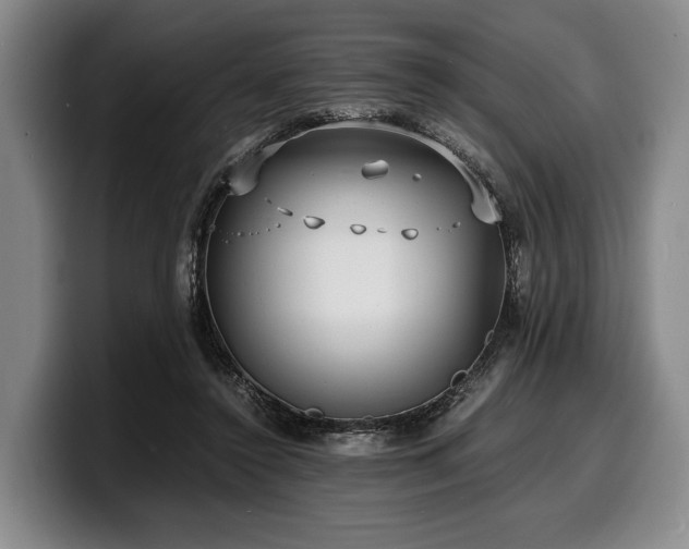 X0000100310356200806051501