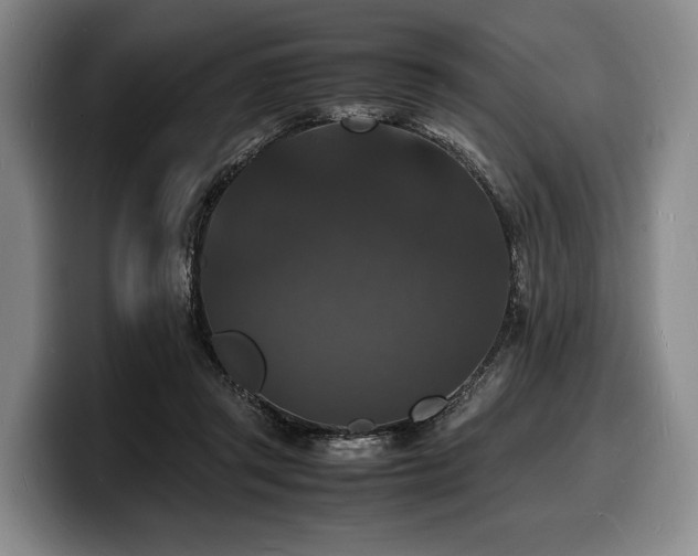X0000100310357200806051501