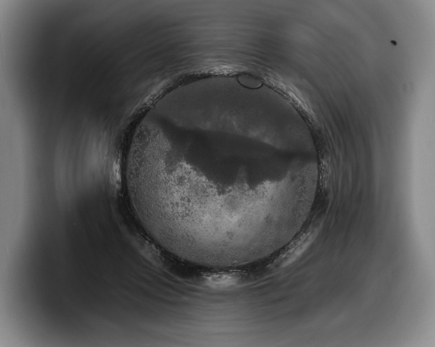 X0000100310358200806051501