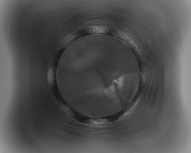 X0000100310359200806051501