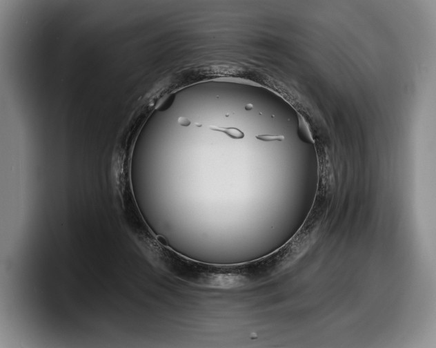 X0000100310360200806051501