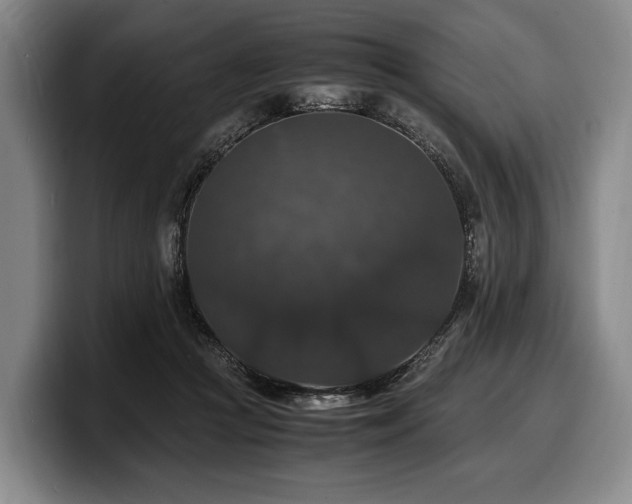 X0000100310361200806051501