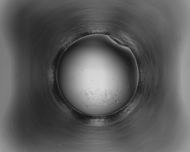 X0000100310362200806051501