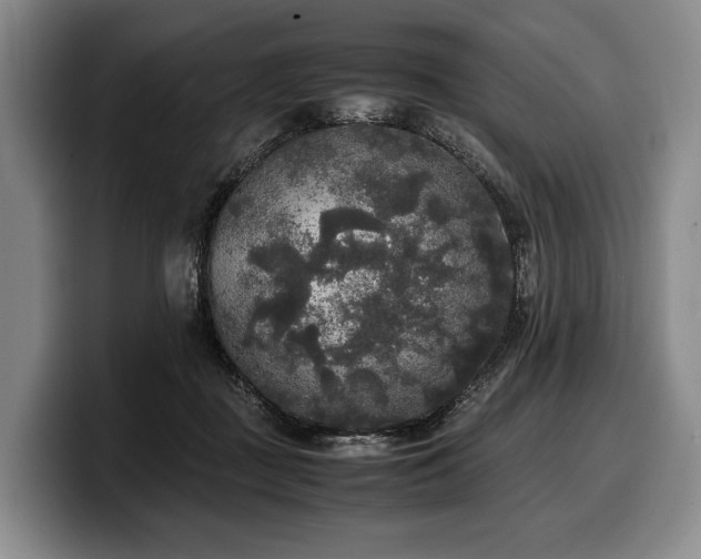 X0000100310363200806051501