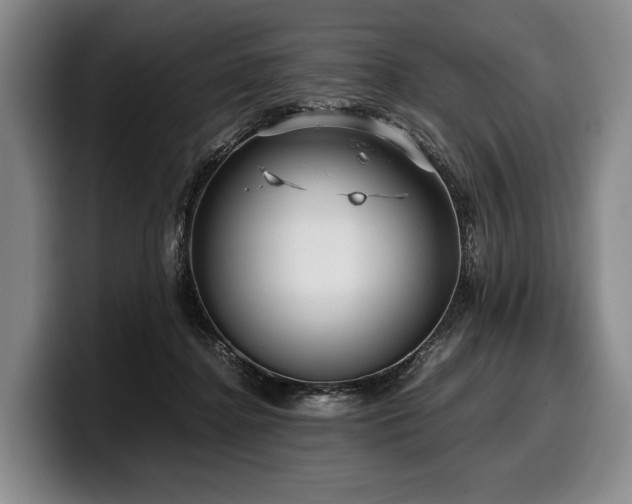 X0000100310364200806051501
