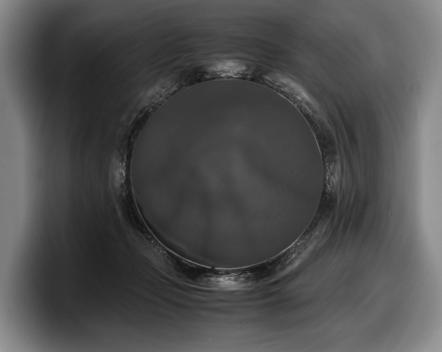 X0000100310365200806051501