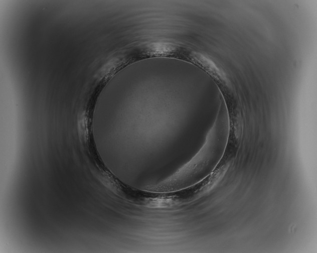 X0000100310366200806051501
