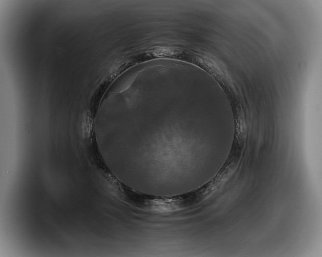 X0000100310367200806051501