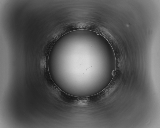 X0000100310368200806051501