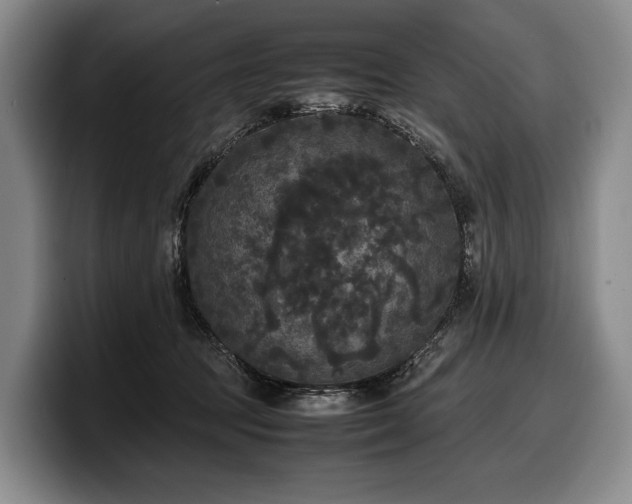 X0000100310369200806051501
