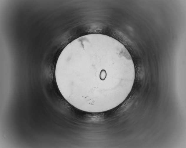 X0000100310370200806051501