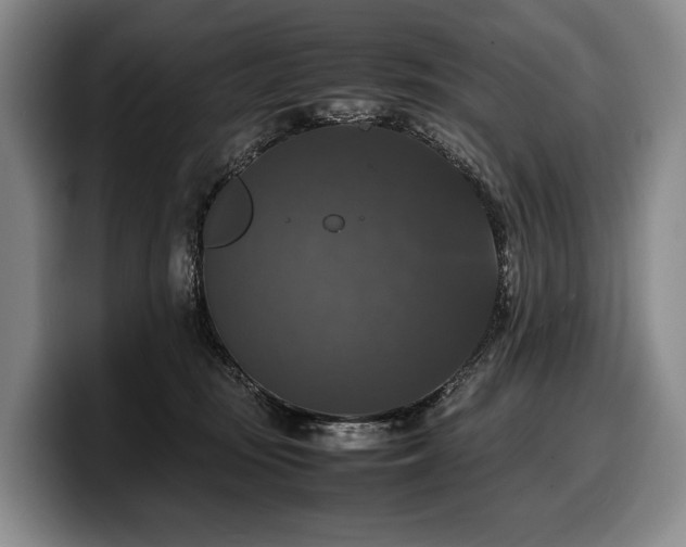 X0000100310371200806051501