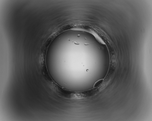 X0000100310372200806051501