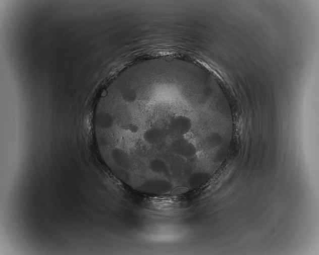 X0000100310373200806051501