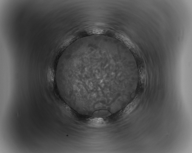 X0000100310374200806051501