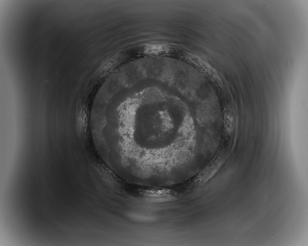 X0000100310375200806051501