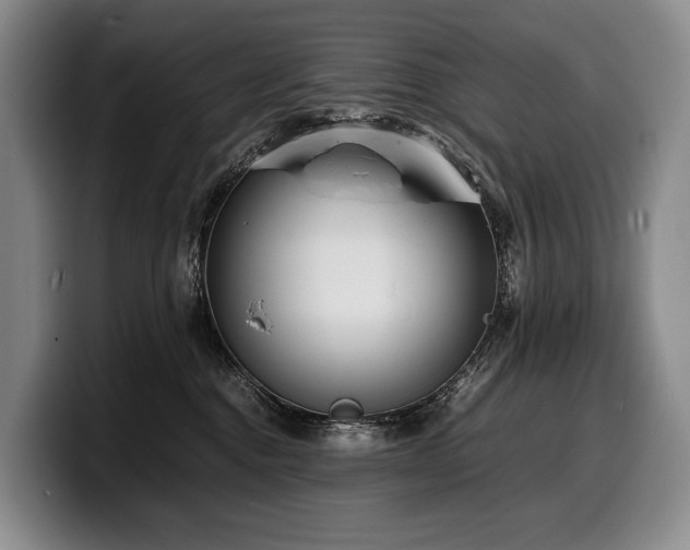 X0000100310376200806051501