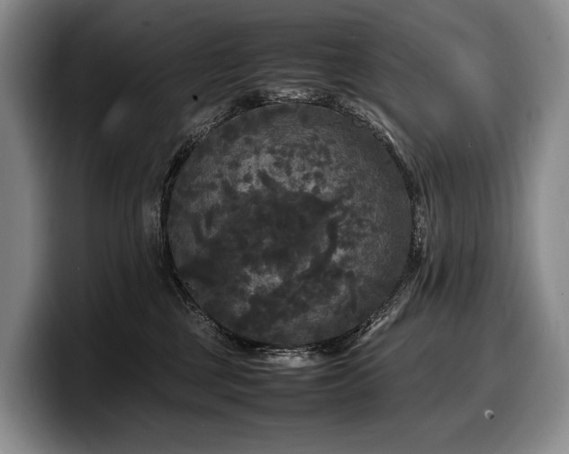 X0000100310377200806051501