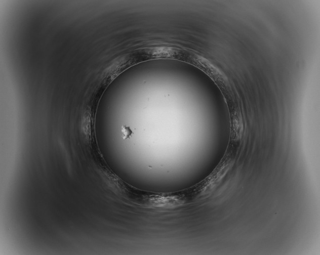 X0000100310379200806051501