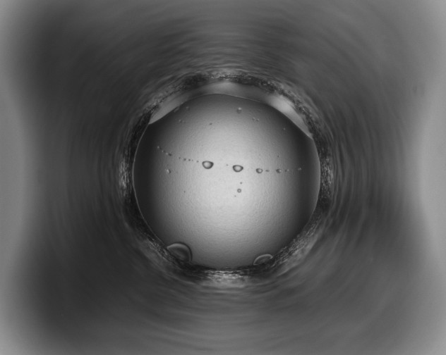 X0000100310380200806051501