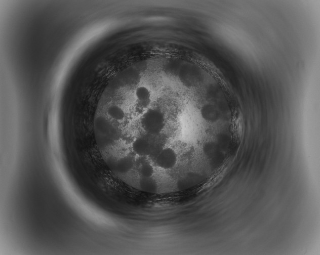 X0000100310381200806051501