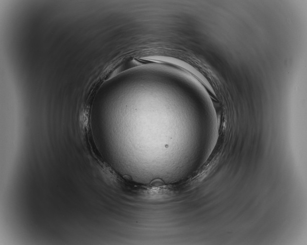 X0000100310382200806051501