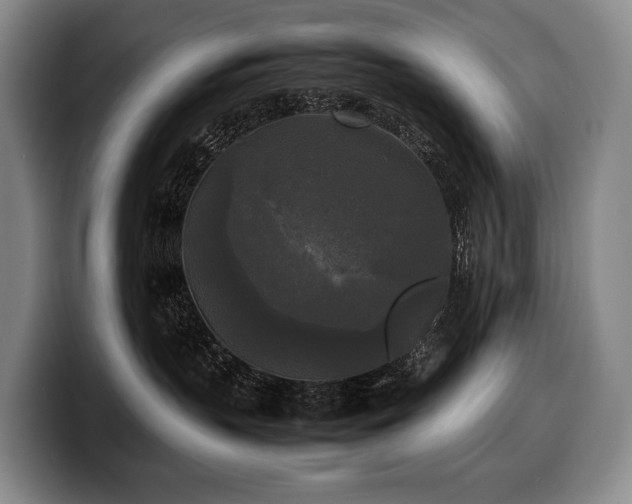 X0000100310383200806051501