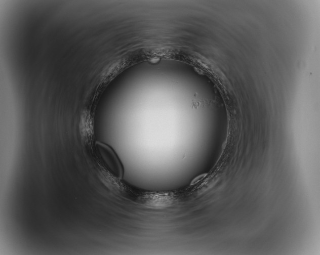 X0000100310384200806051501