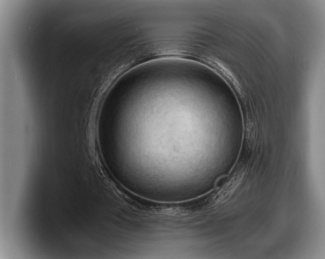 X0000100310385200806051500