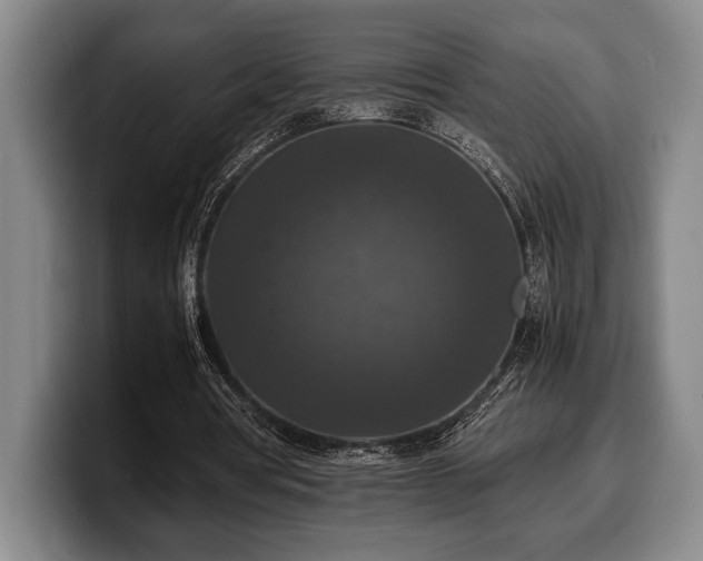 X0000100310386200806051500
