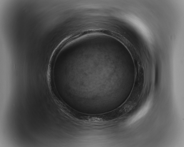 X0000100310387200806051500