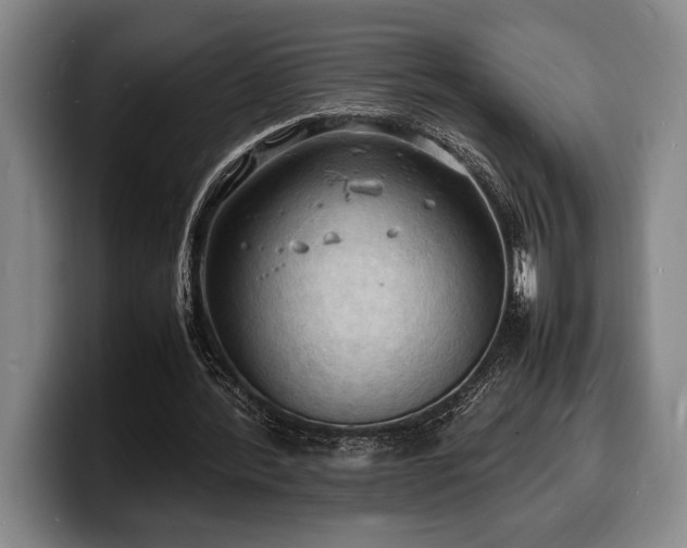 X0000100310388200806051500