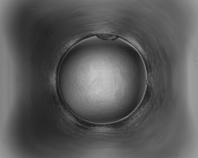 X0000100310389200806051500