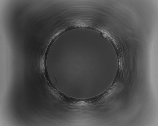 X0000100310390200806051500