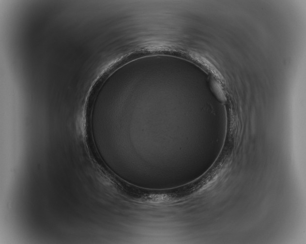 X0000100310391200806051500