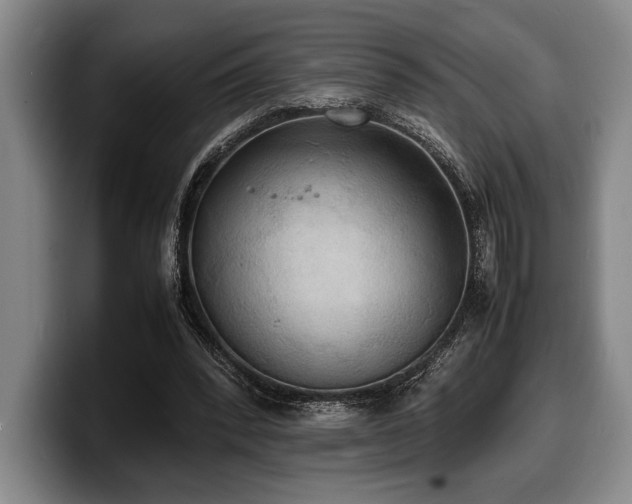 X0000100310392200806051500