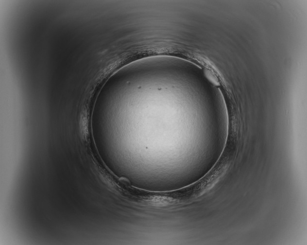X0000100310393200806051500