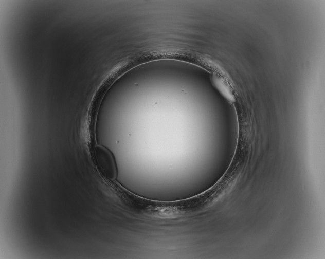 X0000100310395200806051500