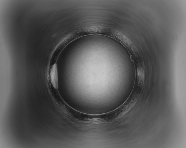 X0000100310396200806051500