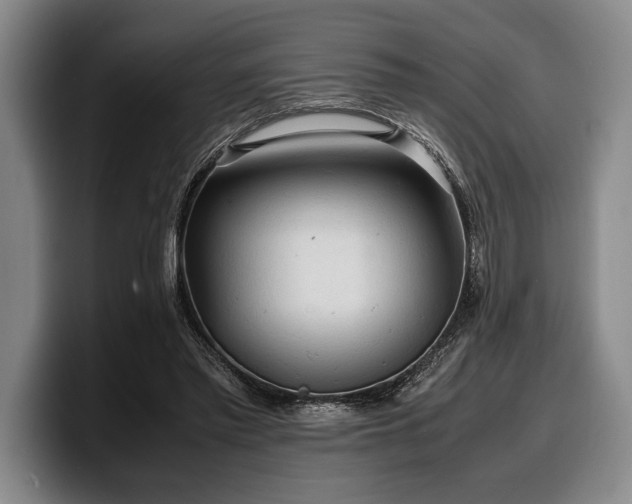 X0000100310397200806051500