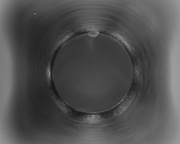 X0000100310398200806051500