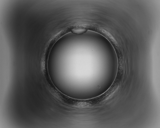 X0000100310399200806051500