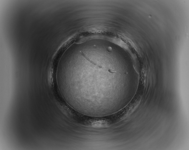 X0000100310400200806051500