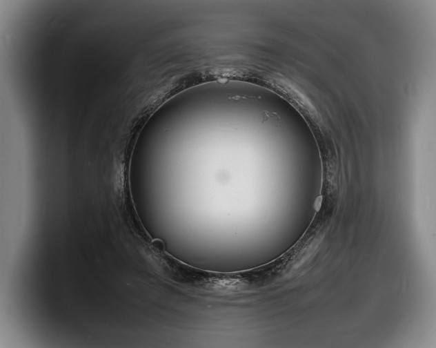 X0000100310401200806051500