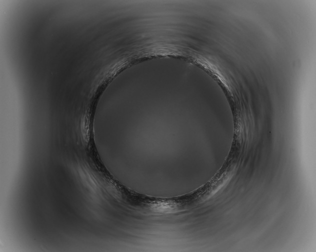 X0000100310402200806051500